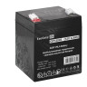 Аккумуляторная батарея EXEGATE GP12045 F2 EX297512RUS